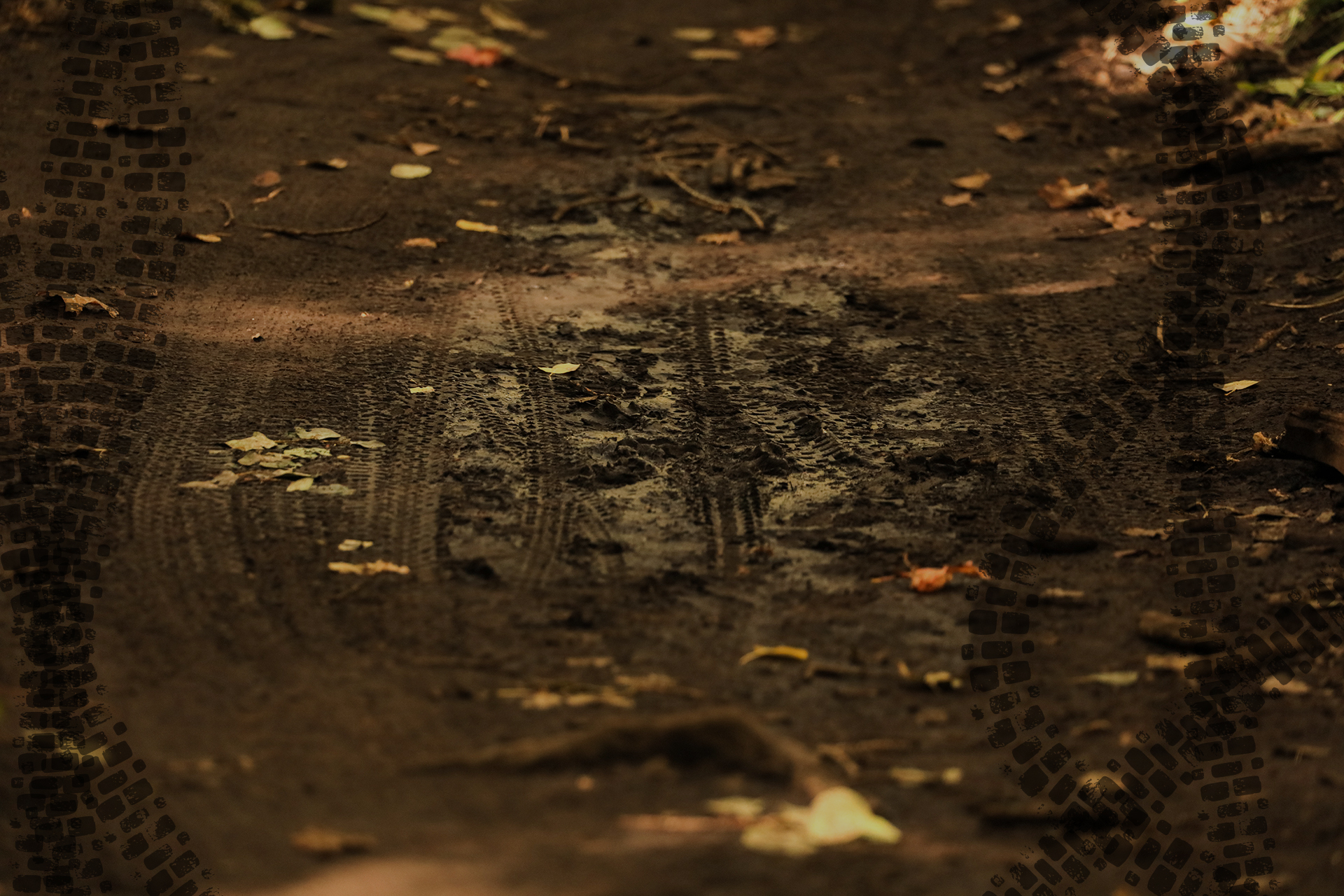 Photo of muddy ground criss-crossed with tire tracks